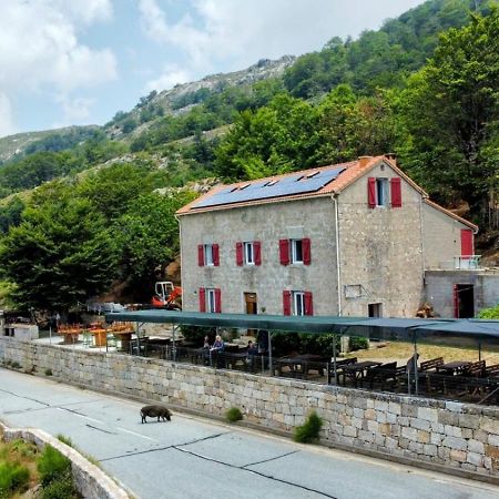 Ferme Auberge Du Col De La Vaccia Olivese Exteriér fotografie