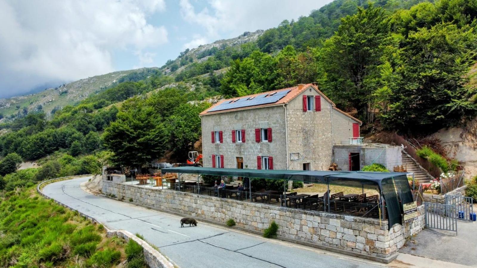 Ferme Auberge Du Col De La Vaccia Olivese Exteriér fotografie