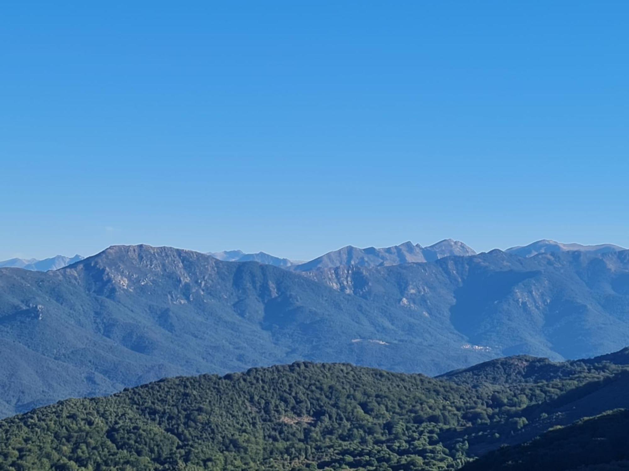 Ferme Auberge Du Col De La Vaccia Olivese Exteriér fotografie
